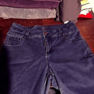 Fine Los Angeles Blue Fitted Pants